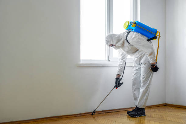 Best Commercial Pest Control Services  in Lake Montezuma, AZ